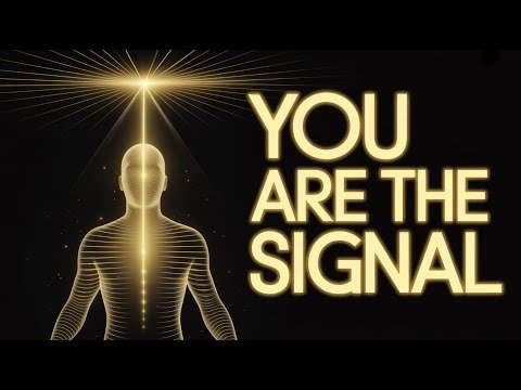 Heart Brain Coherence Is Your Quantum Frequency