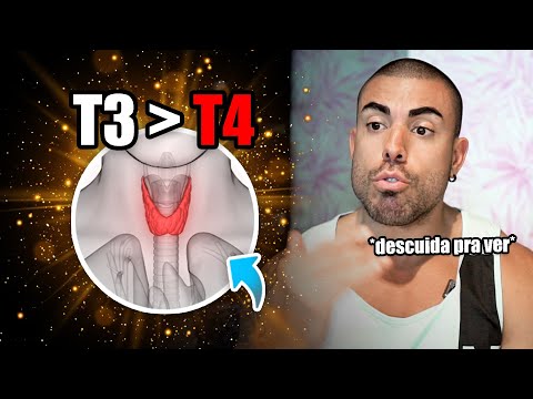 All about T3 and T4 - thyroid hormones