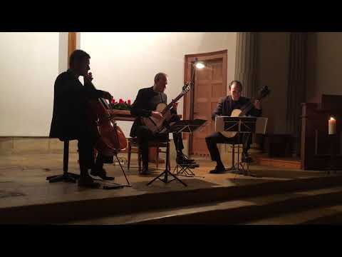 Franz Schubert, Sonate für Arpeggione und Klavier D. 821 (extrait #1)