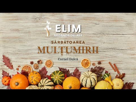 Ziua Mulțumirii (Cornel Dulcă) - Duminică 26 Octombrie 2025