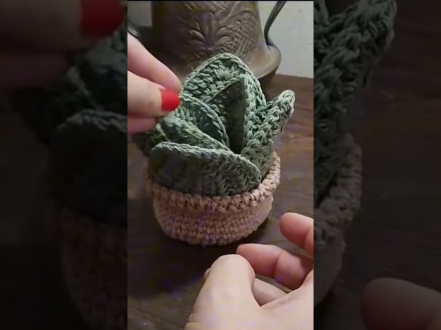 Vídeo relacionado con Gucass Juego de 12 Posavasos de Doble Cara con Soporte Redondo, Posavasos de Mesa para Cocina, Oficina y Hogar, Antideslizantes, Resistentes al Calor y Fáciles de Limpiar, Decorativos y Elegantes