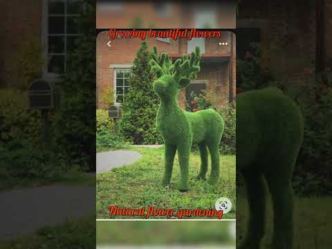 Beautiful flowers decoration with natural style in flower gardning #flower #fastival #natural