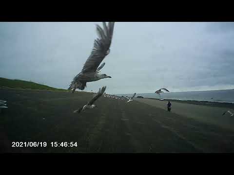 STN Zalige Zomer Zeelandtour Teaser 19-06-2021