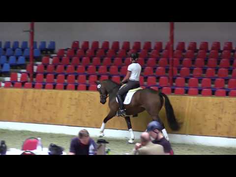 Bavaria -Fürst Romancier- Jazz Time