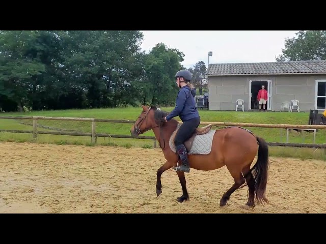 2 PONETTES OC LOISIR ET CLUB