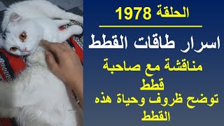 الحلقة 1978 .. اسرار طاقات القطط .. مناقشة مع صاحبة قطط .. توضح ظروف وحياة هذه القط