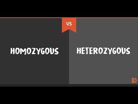 YouTube video about: Which plants in this figure must all be heterozygous?