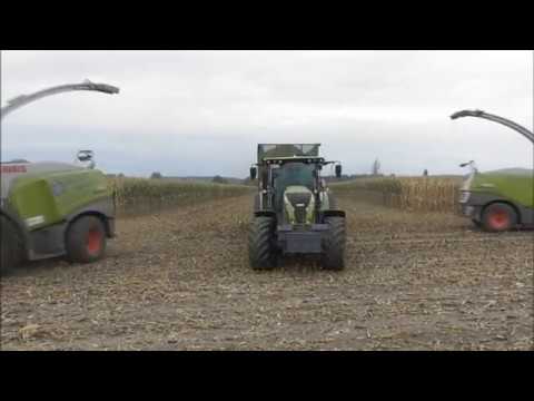 Mais häckseln 2019 Daue und Partner GmbH Claas Jaguar 950 + 960