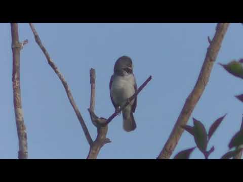 Entre bañados y montes Esperanza Santa Fe 2025