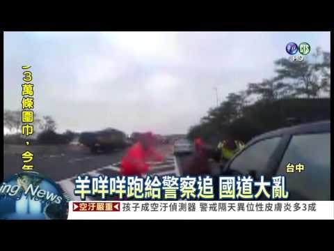 貨車爆胎 羊咩咩逃竄國道