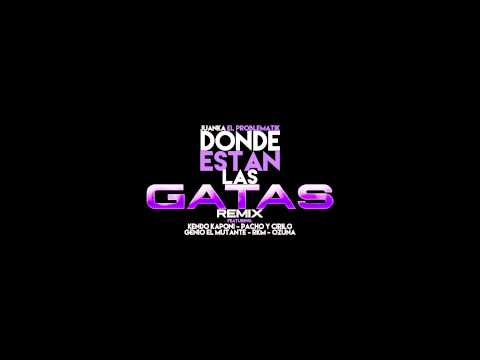 Juanka El Problematik FT. Varios Artistas | Donde Estan Las Gatas (Remix)