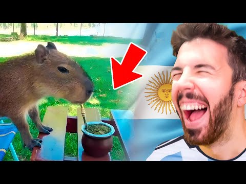 Humor ARGENTINO (Que c*ño es esto) #3