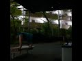 腕立て伏せ