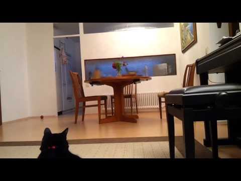 MJX F47 indoor test flight