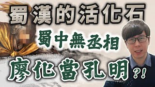 [問卦] 廖化可以把老母背回家徐庶不能？