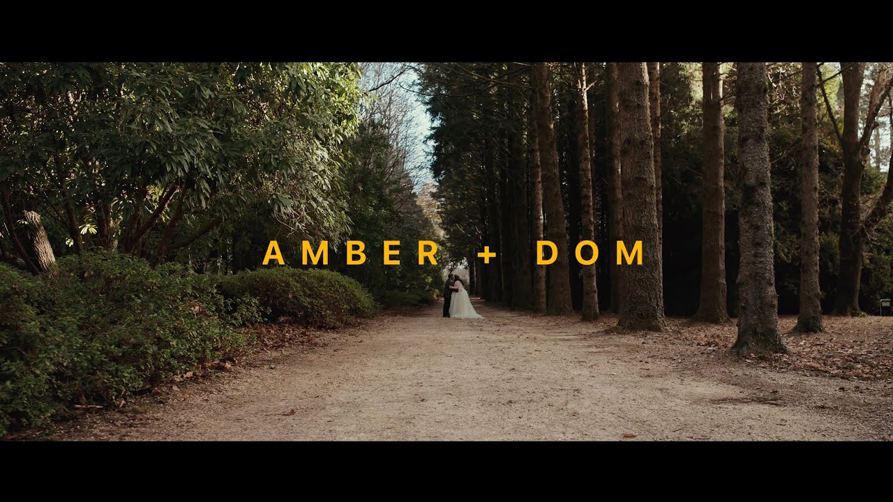 Amber & Dom - Breenhold & Dennarque Estate, Blue Mountains