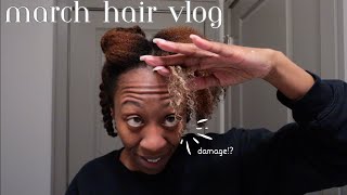 THESE ENDS HAVE A STORY TO TELL [March Hair Vlog] Heyknottygirl Hair