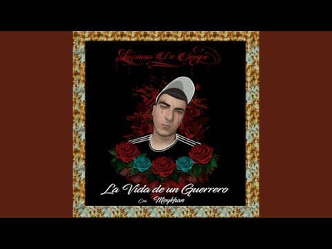 La Vida de un Guerrero