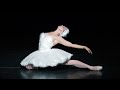 The Dying Swan – Natalia Osipova (The Royal Ballet)