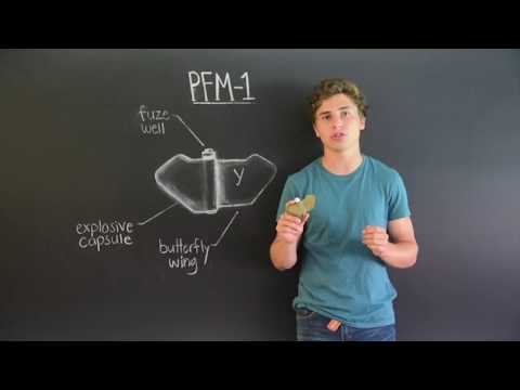 Detecting Plastic Butterfly Mines With Thermal Drone Based Sensing