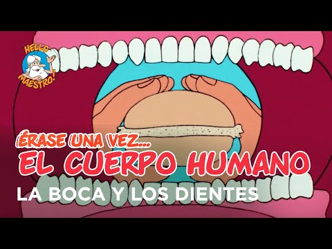 Once Upon a Time... The Human Body - The Mouth and Teeth