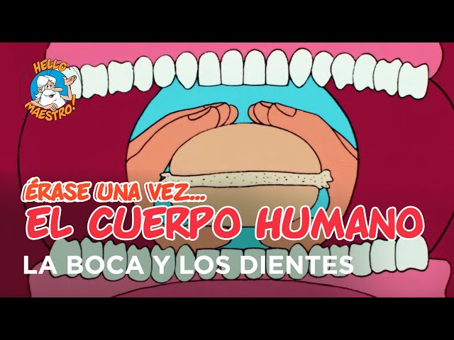 Vídeo relacionado con Educa - Érase una Vez La Vida, Juego de Mesa Familiar Educativo con más de 500 Preguntas y respuestas sobre el Cuerpo Humano y 5 Temas, A Partir de 6 años (18510)
