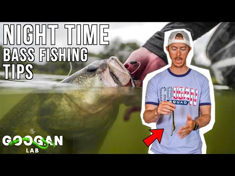 Night Fishing