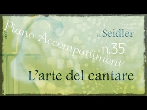 Seidler n.35 - Piano Accompaniment (Play - Along)