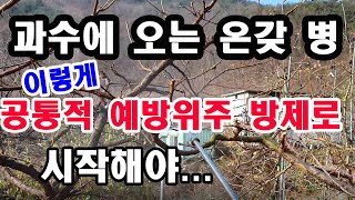 과수에 오는 온갖 병, 이렇게 공통적 예방위주 방제로 시작해야 (과수 재배, 과수 병충해 방제 중 과수 병해…