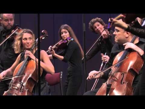 Camerata Nordica String Orchestra - Grieg 