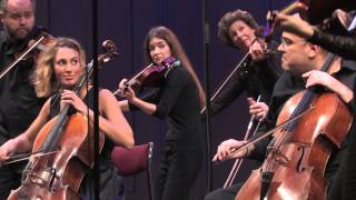 Camerata Nordica String Orchestra - Grieg 
