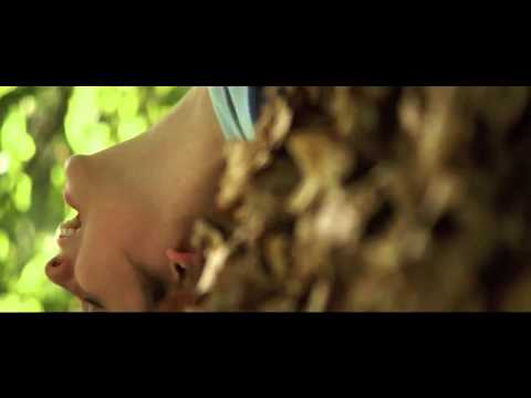 Little Black Spiders