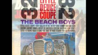 HEADS YOU WIN- New BEACH BOYS Book!!!