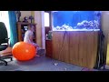 Space Hopper