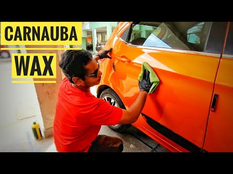 Car paint protection using Carnauba wax|| Application walkthrough using Wavex Carnauba Liquid wax