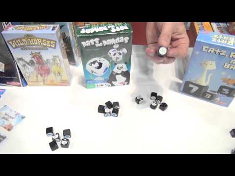 Overview of Pass the Pandas – filmed at ACD Games Day 2013
