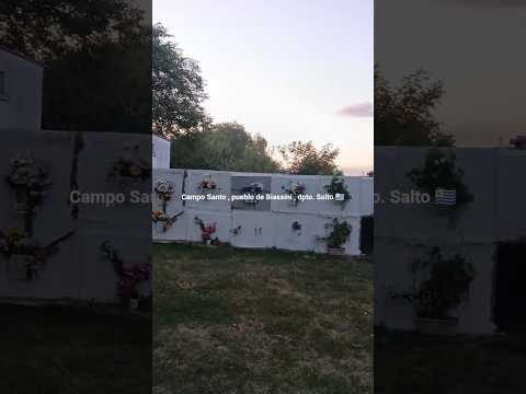 Campo Santo , pueblo de Biassini , departamento de Salto 🇺🇾 . Videitos cultura uruguaya .