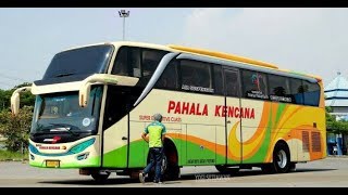 Download lagu Sejarah Berdirinya Bus Pahala Kencana mp3
