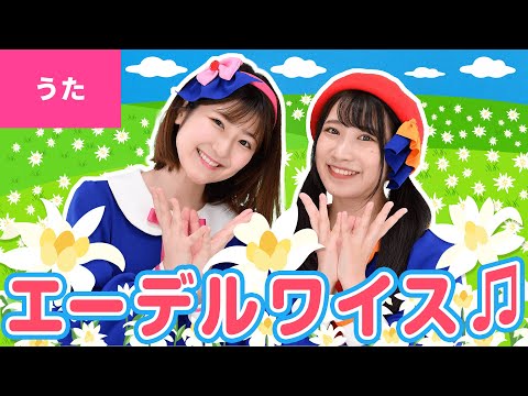 園芸 エーデルワイス