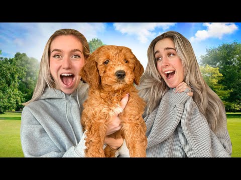 WIJ KRIJGEN EEN PUPPY! 🐶