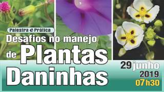 Miniatura do vídeo