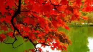 Brighter than Sunshine - Aqualung