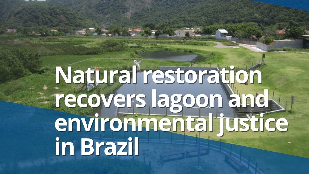 Natural restoration recovers lagoon and environmental justice in Brazil