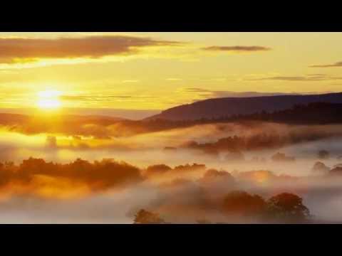 Orbital - One Perfect Sunrise (Stereo 8 remix) [HD]
