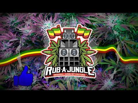 🟩🟨🟥 Boombassbrothers & Neekoshy - Dancehall Gorilla