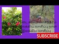 Pattukottai Kalyanasundaram Pokaathe Pokaathe En கல்யாணசுந்தரம் பா�
