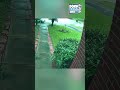 Tesla Auto Pilot Fails?