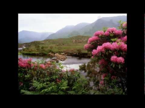 Sinéad O'Connor - Raglan Road - High Quality