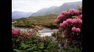 Sinéad O&#39;Connor - Raglan Road - High Quality