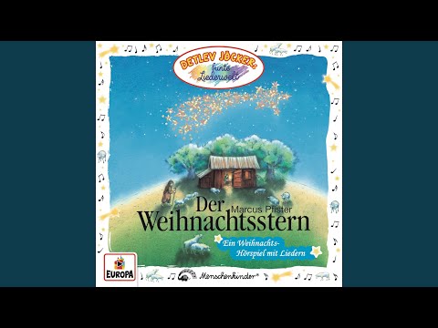 Weihnachtsstern, Weihnachtsstern